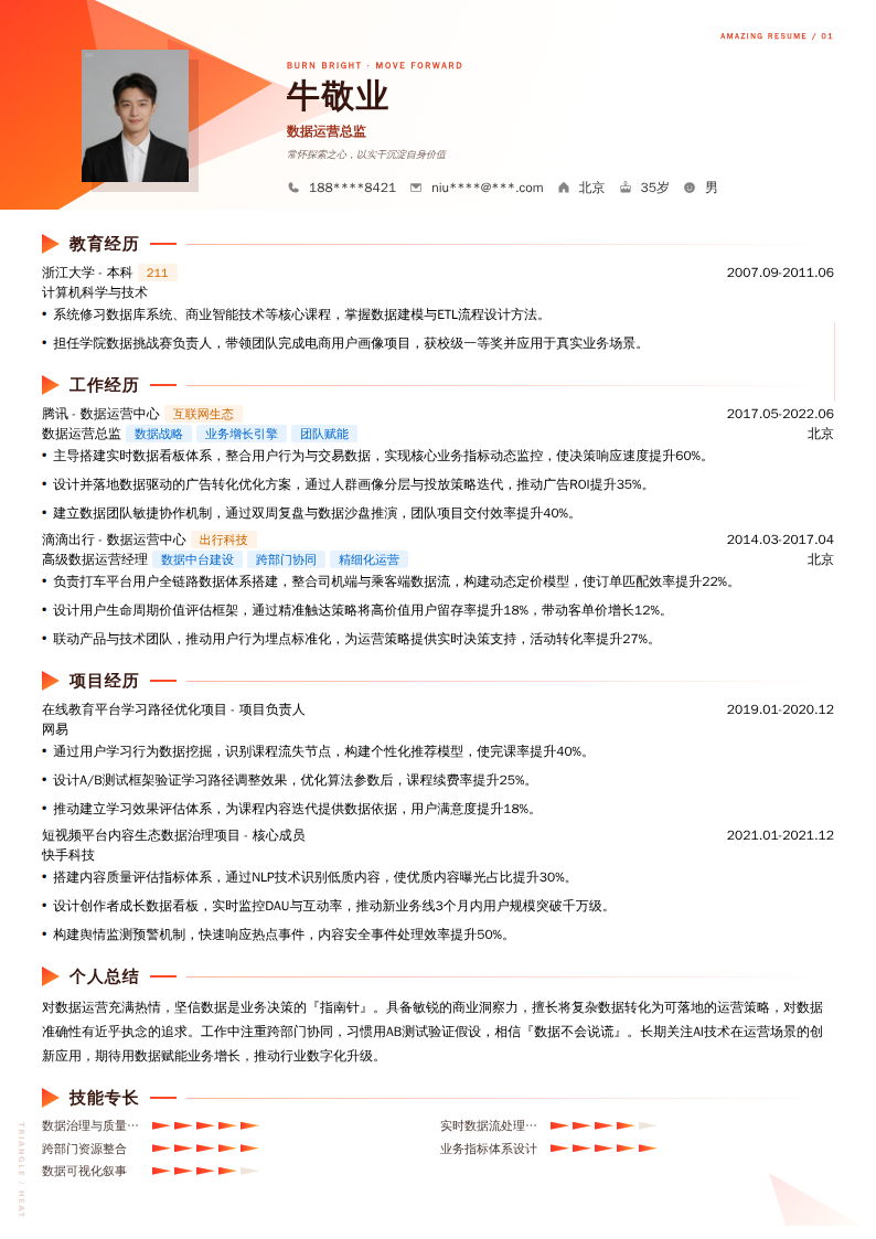 数据运营总监简历模板