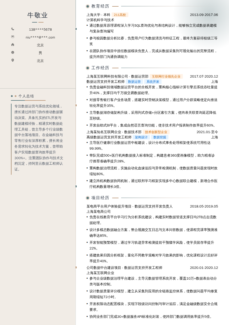 数据运营支持开发简历模板