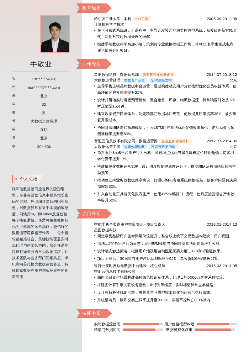 大数据运营经理简历模板