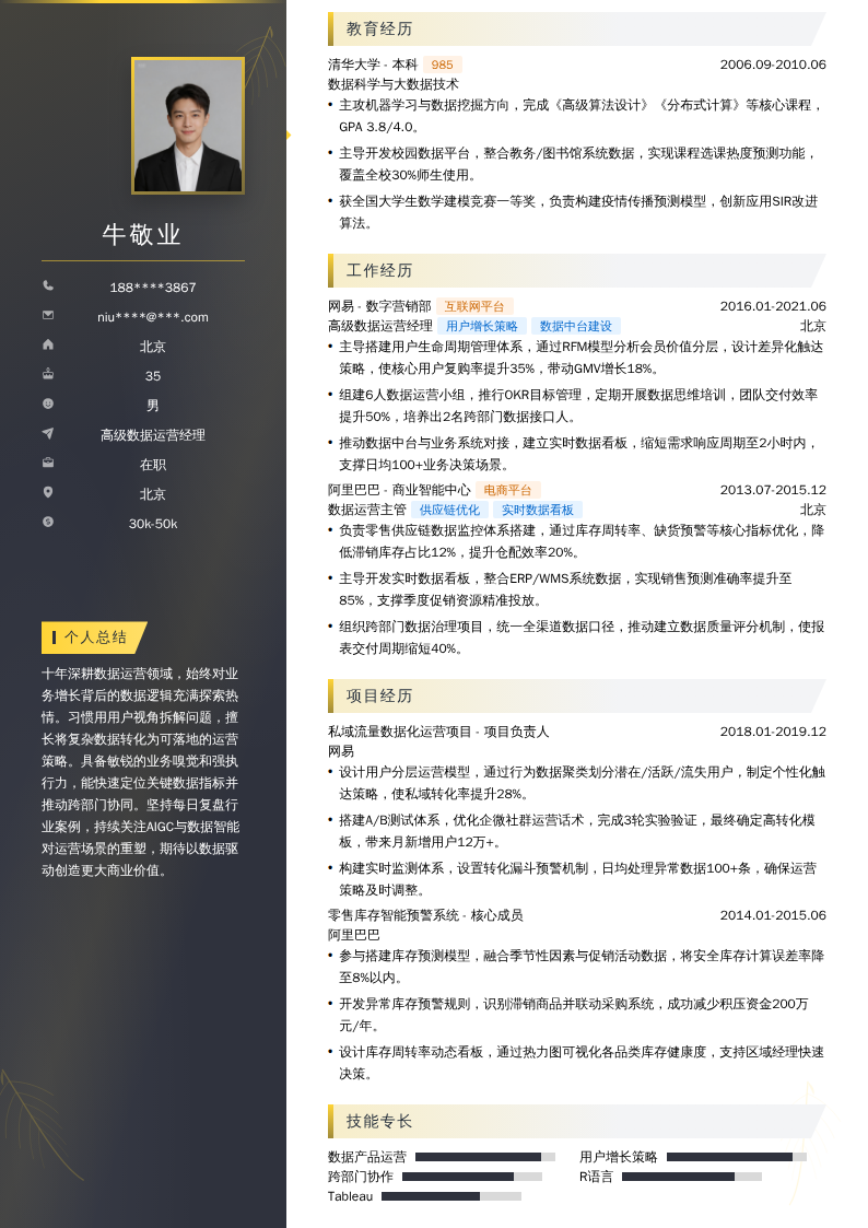 高级数据运营经理简历模板