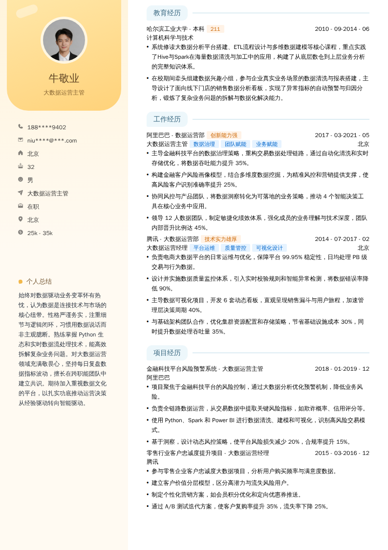 大数据运营主管简历模板