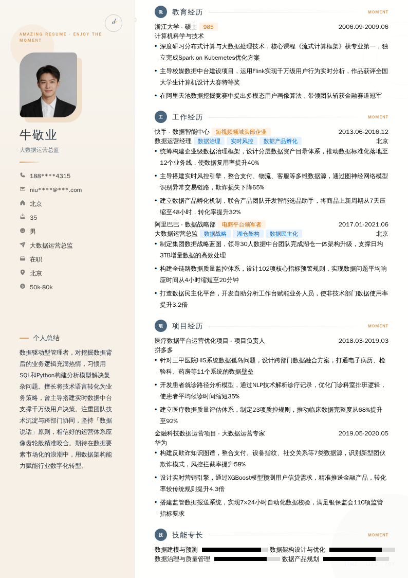大数据运营总监简历模板