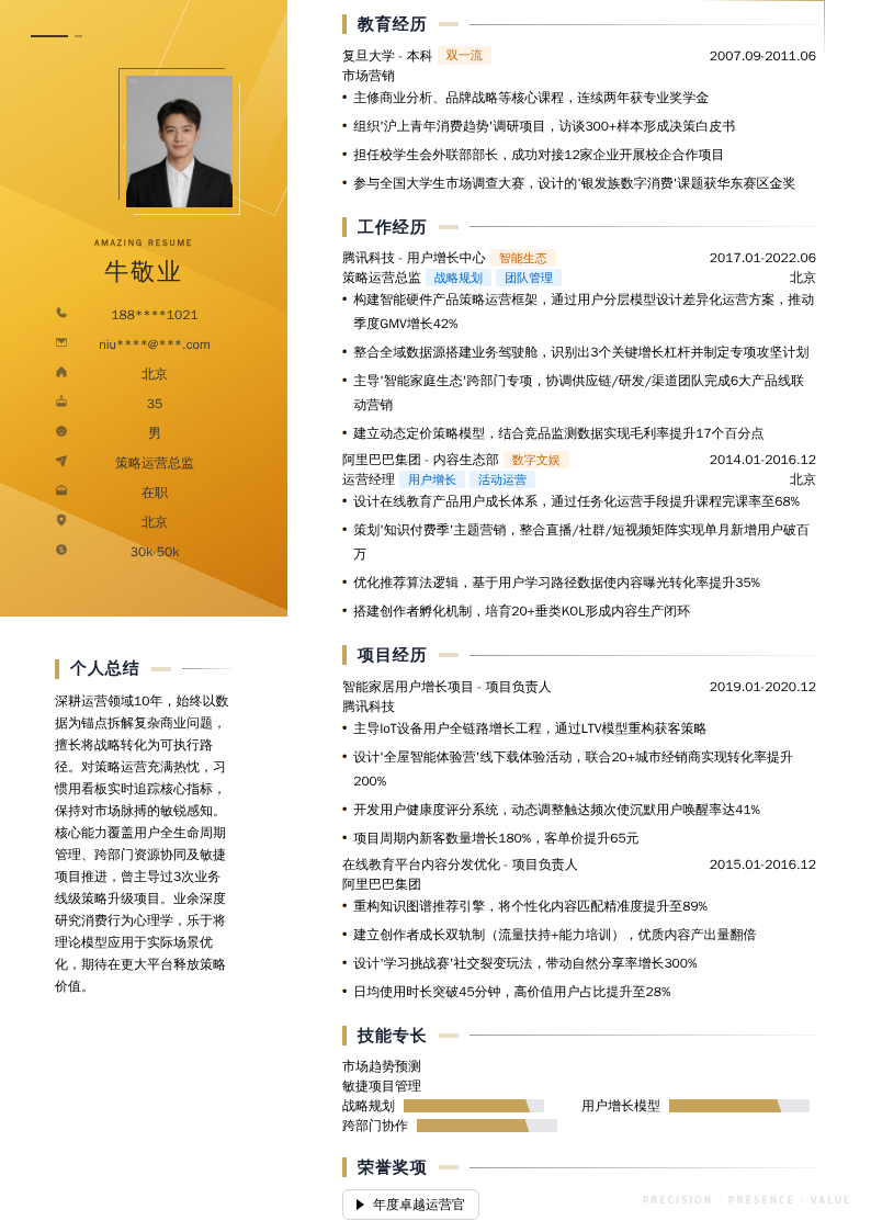 策略运营总监简历模板