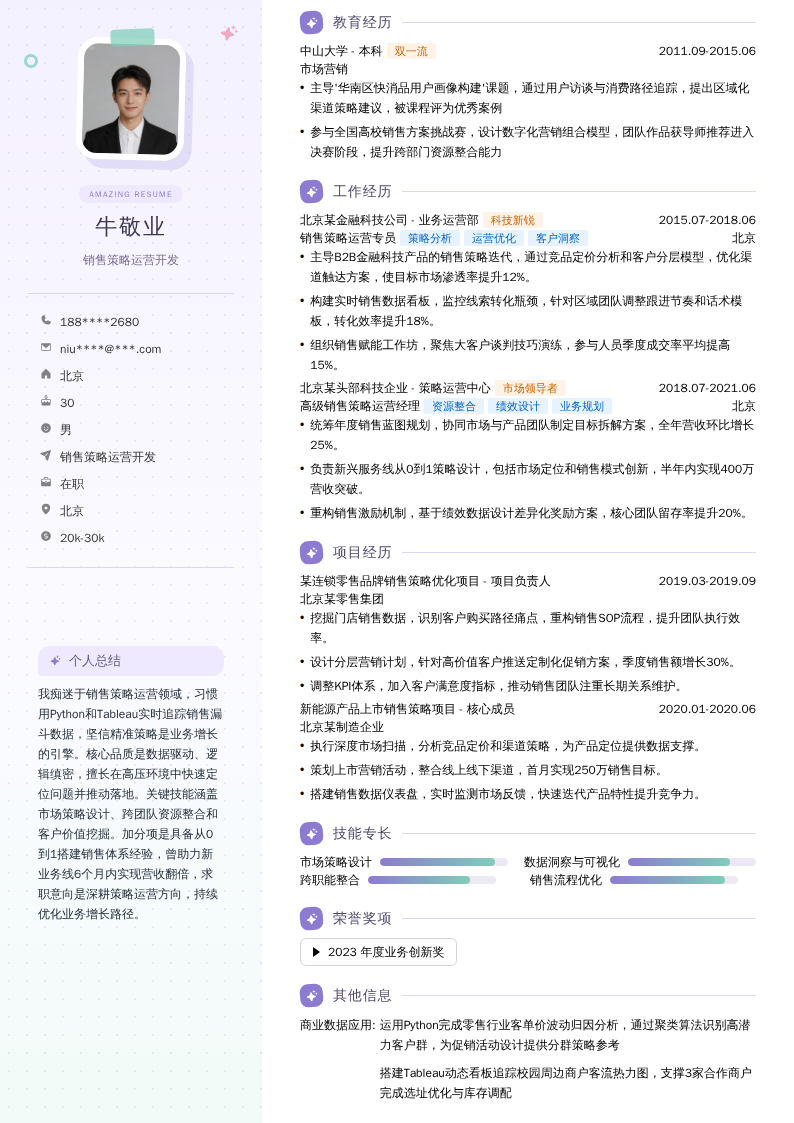 销售策略运营开发简历模板