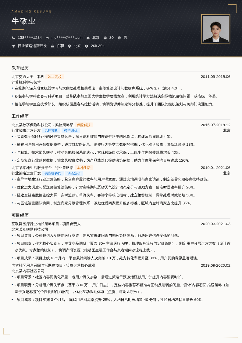 行业策略运营开发简历模板