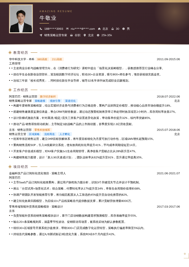 销售策略运营专家简历模板