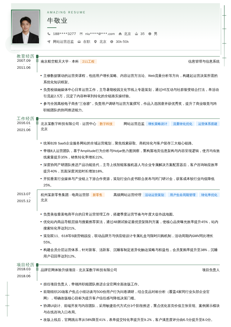 网站运营总监简历模板