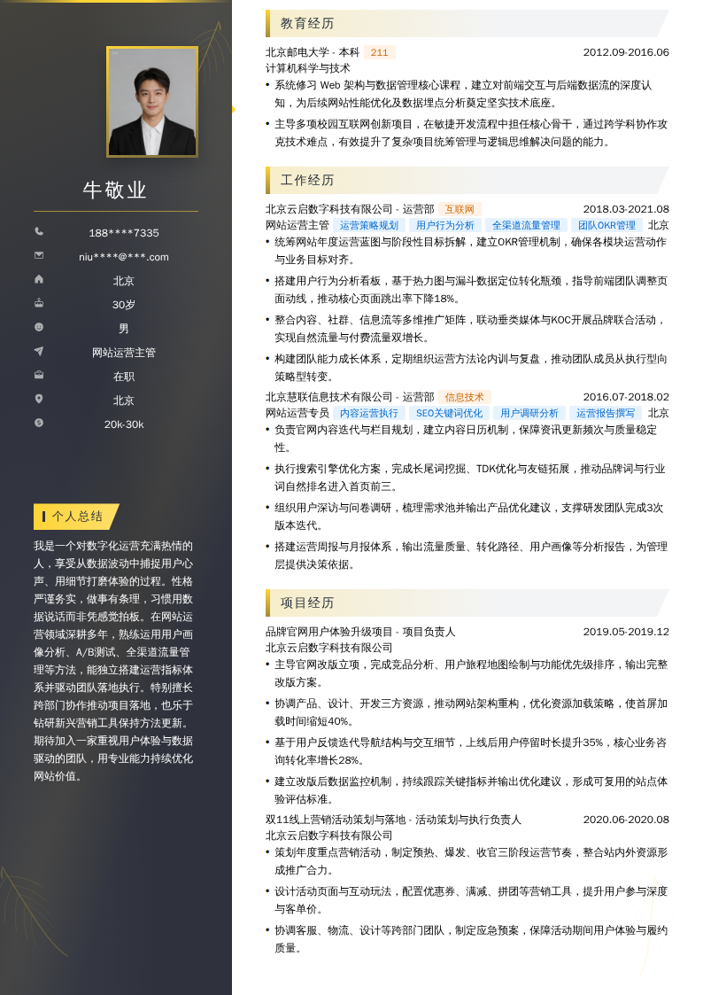 网站运营主管简历模板