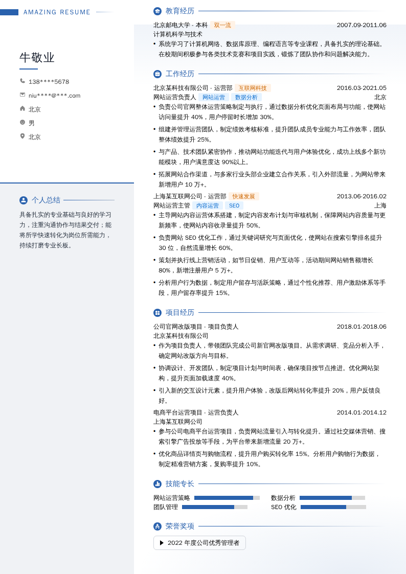 网站运营负责人简历模板