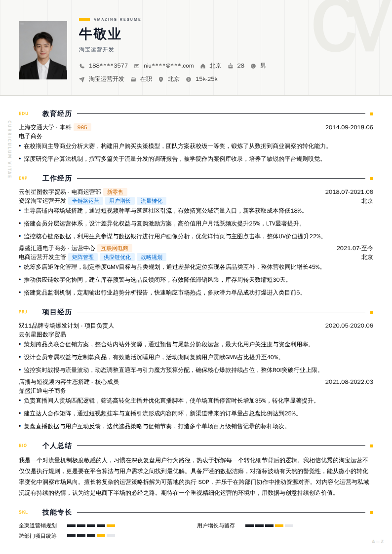 淘宝运营开发简历模板