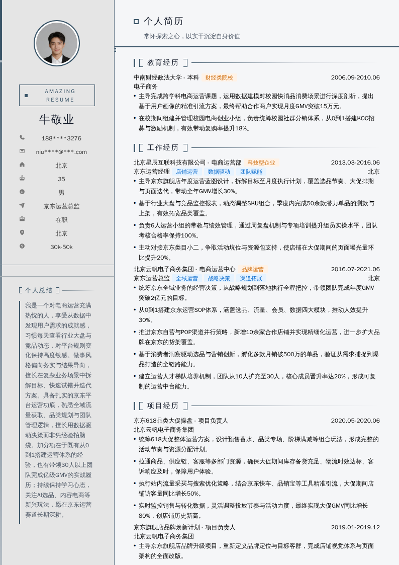 京东运营总监简历模板