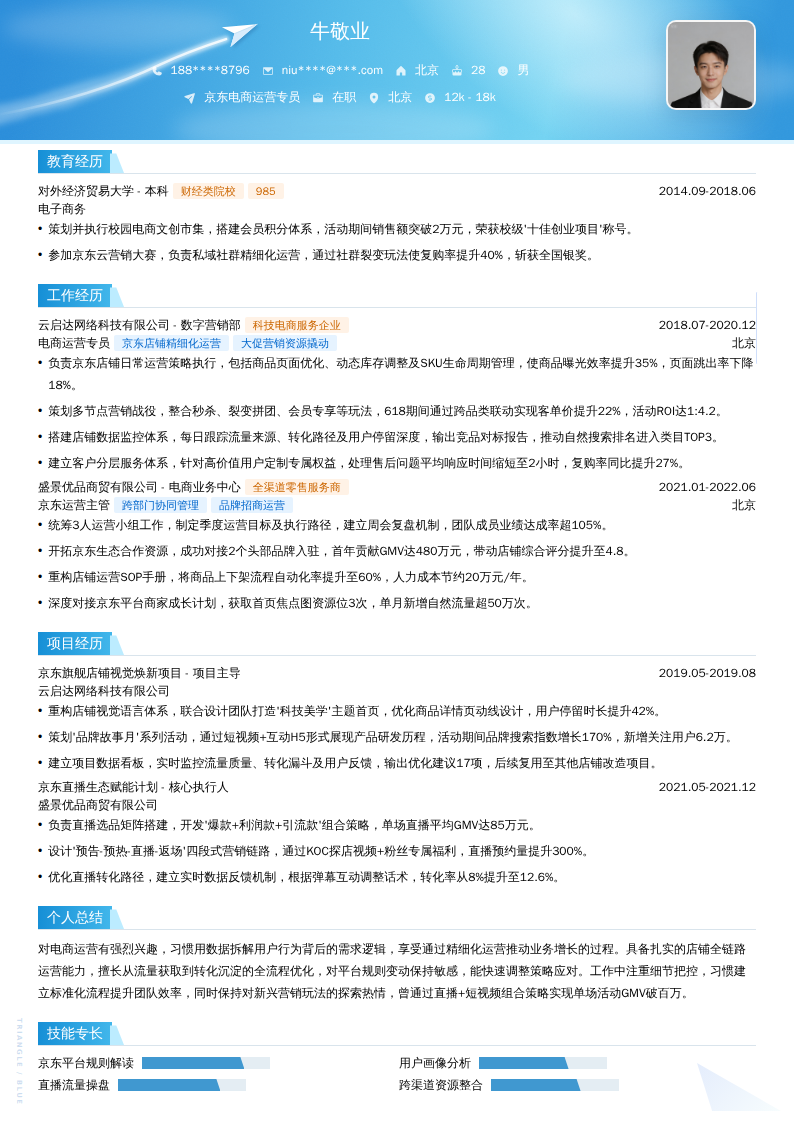 京东电商运营专员简历模板