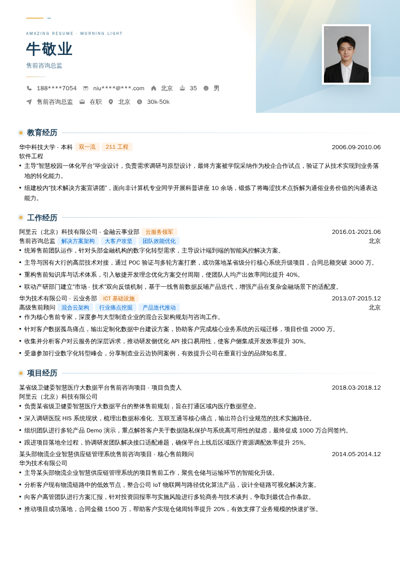 售前咨询总监简历模板