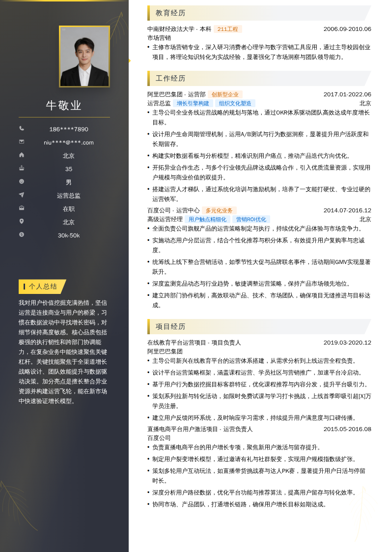 运营总监简历模板