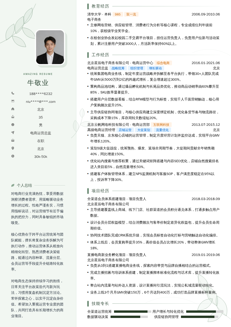 电商运营总监简历模板