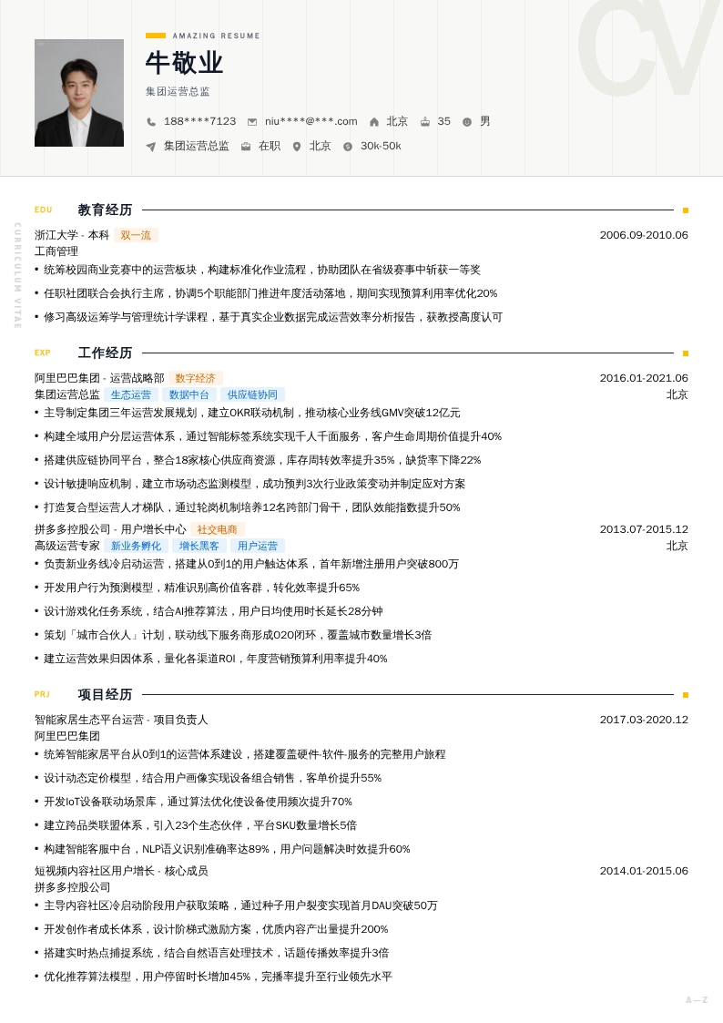 集团运营总监简历模板