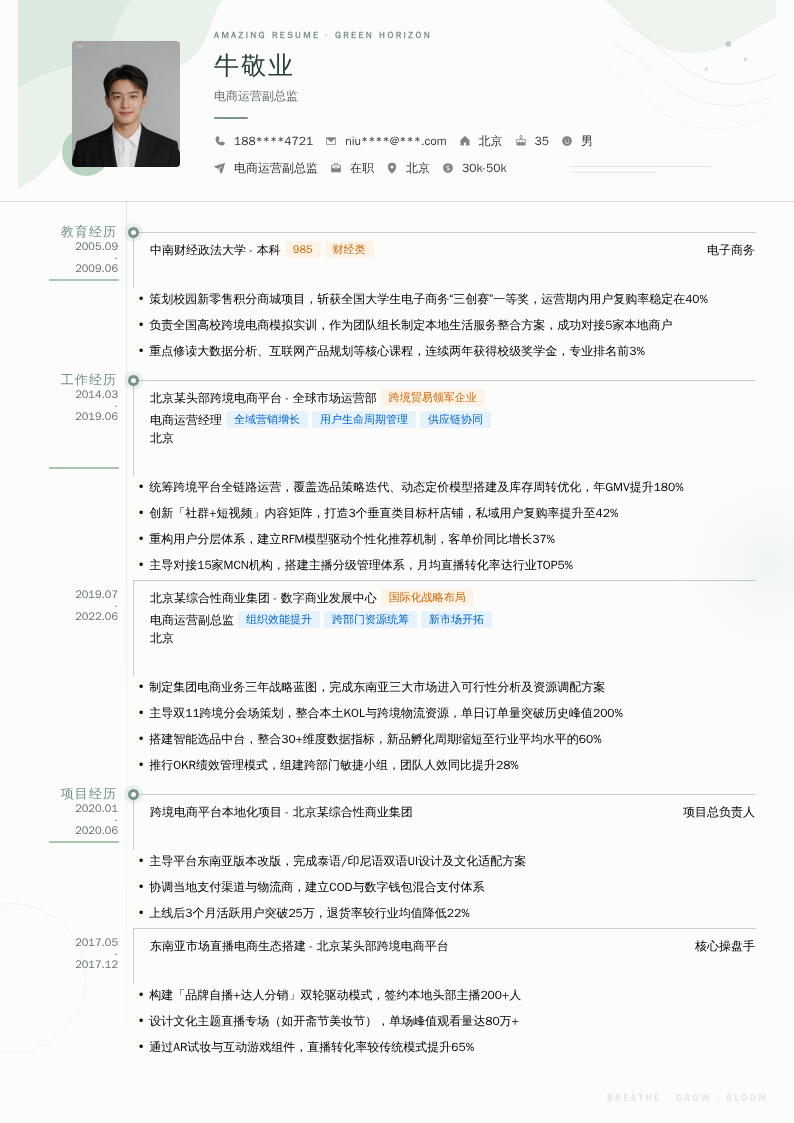 电商运营副总监简历模板