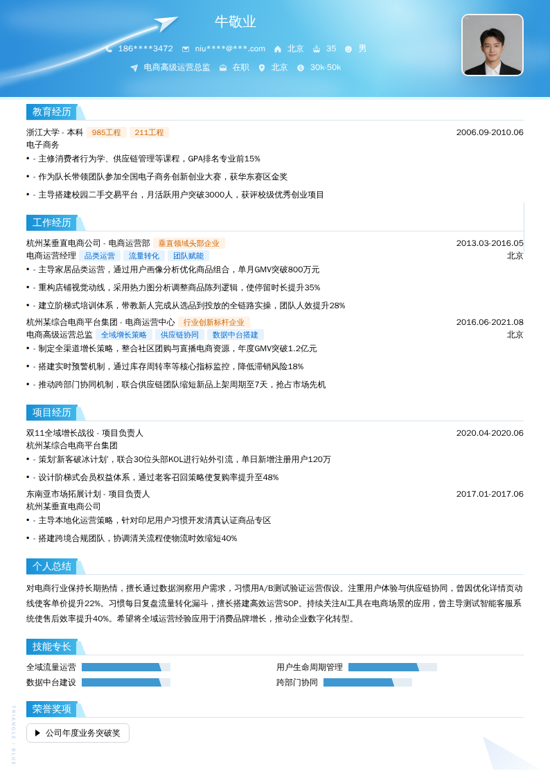 电商高级运营总监简历模板