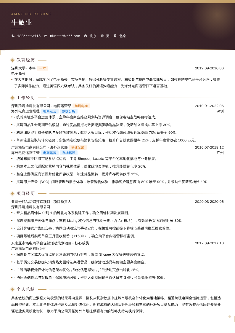 海外电商运营经理简历模板