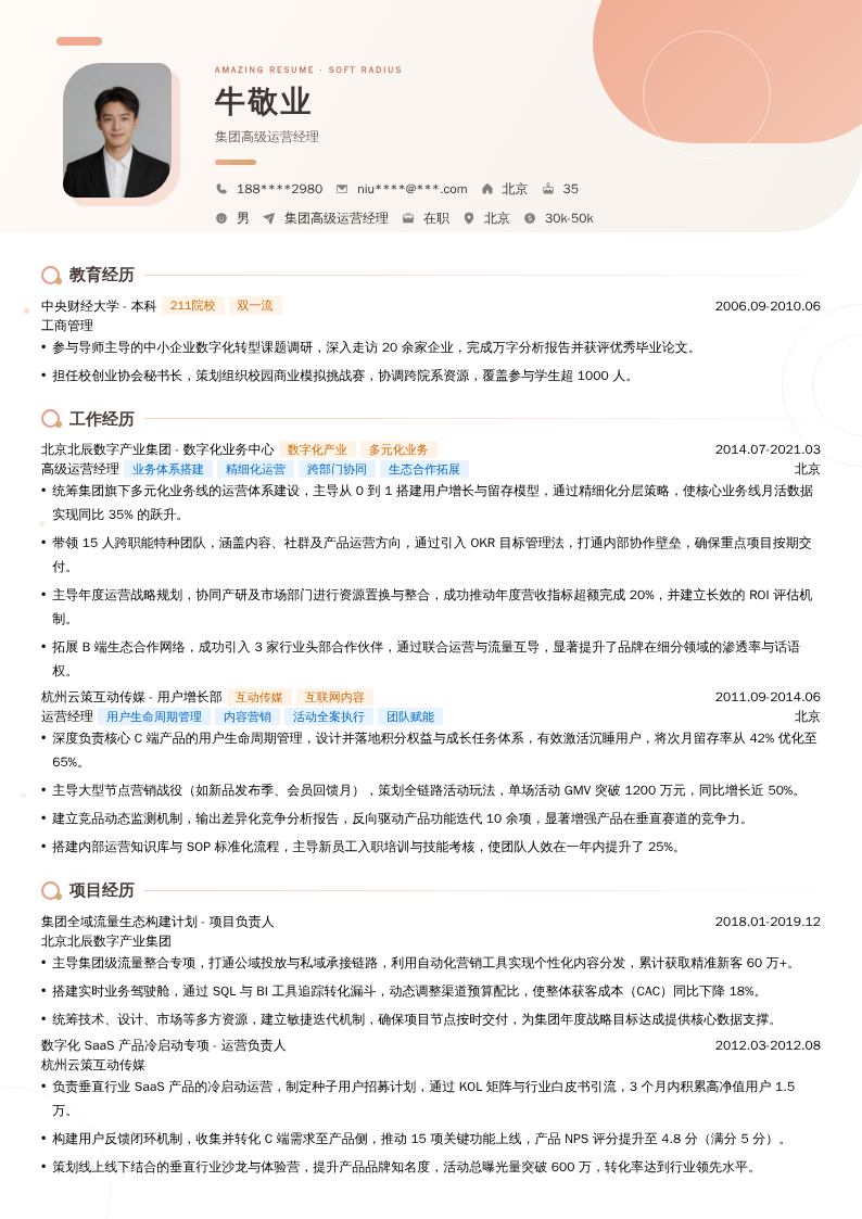 集团高级运营经理简历模板