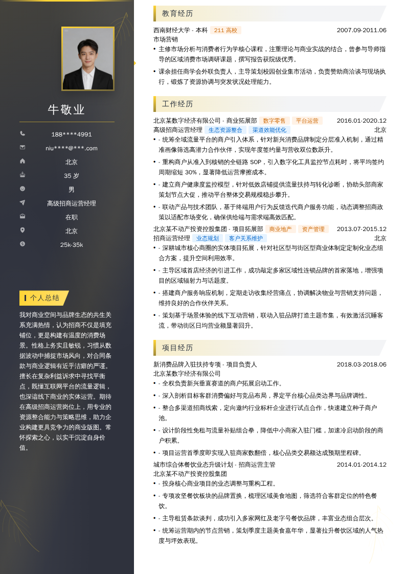 高级招商运营经理简历模板