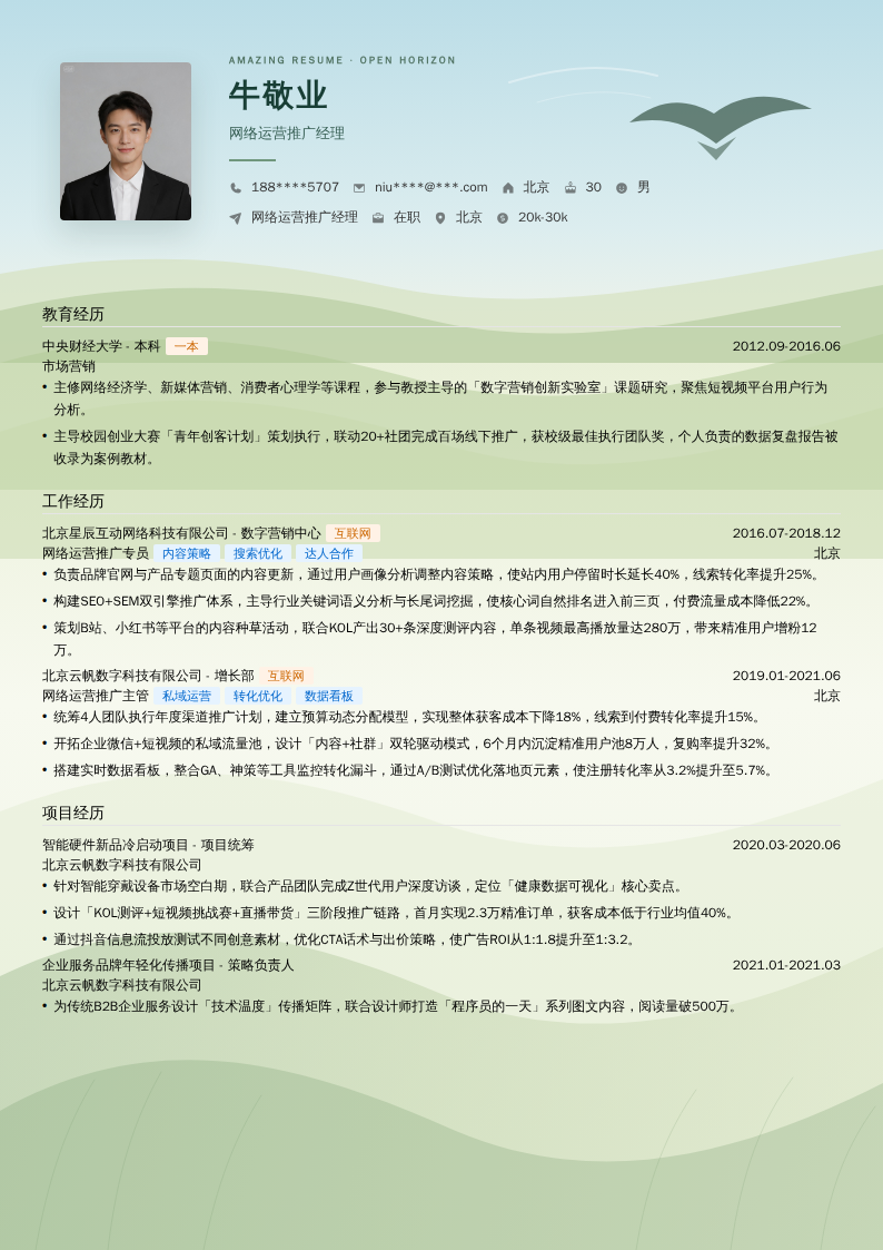 网络运营推广经理简历模板