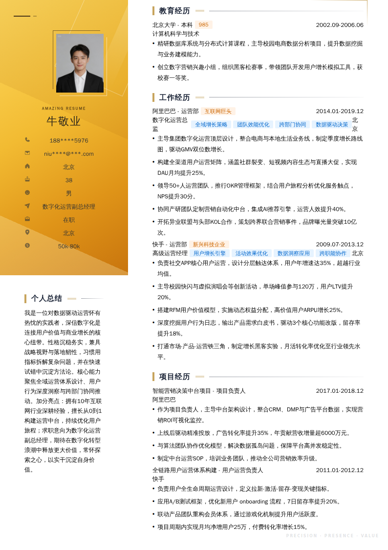数字化运营副总经理简历模板