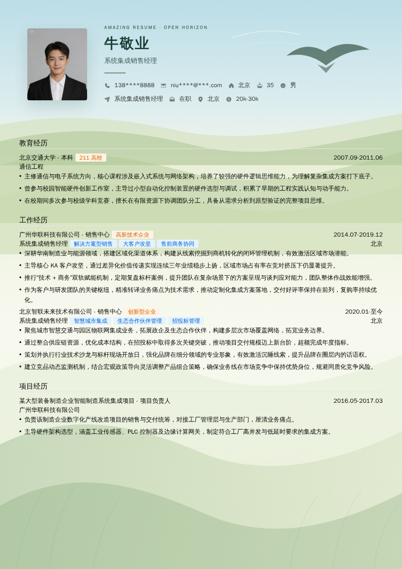 系统集成销售经理简历模板