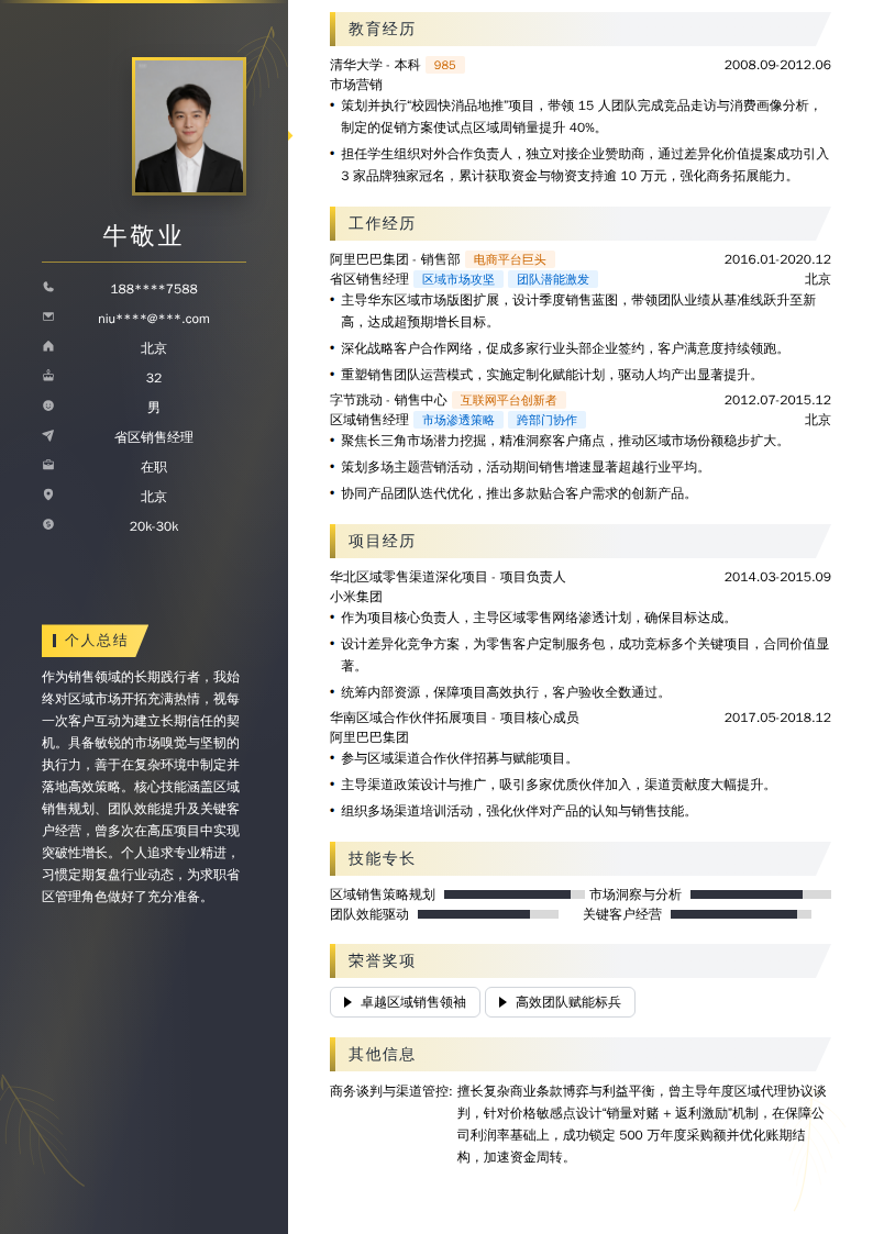 省区销售经理简历模板