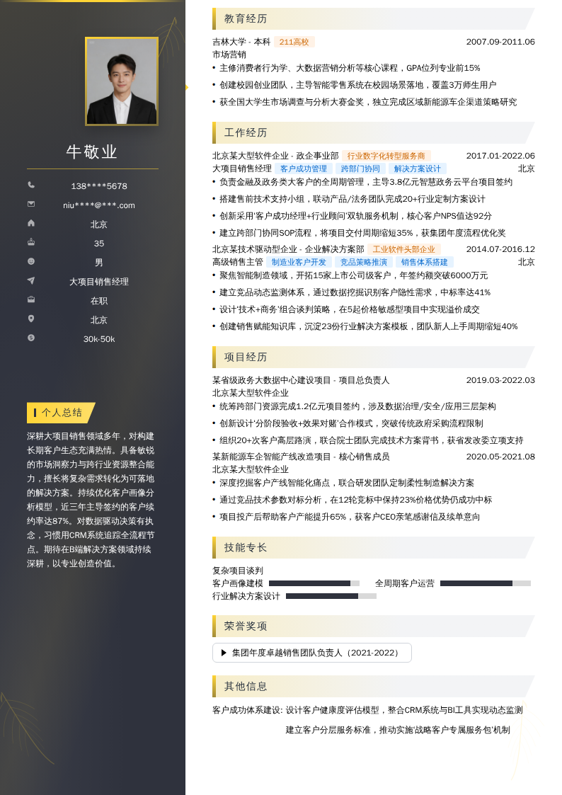 大项目销售经理简历模板