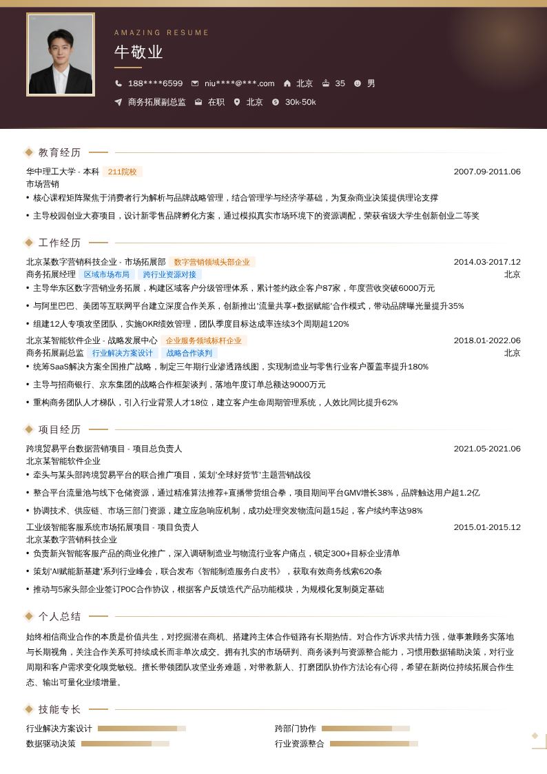 商务拓展副总监简历模板