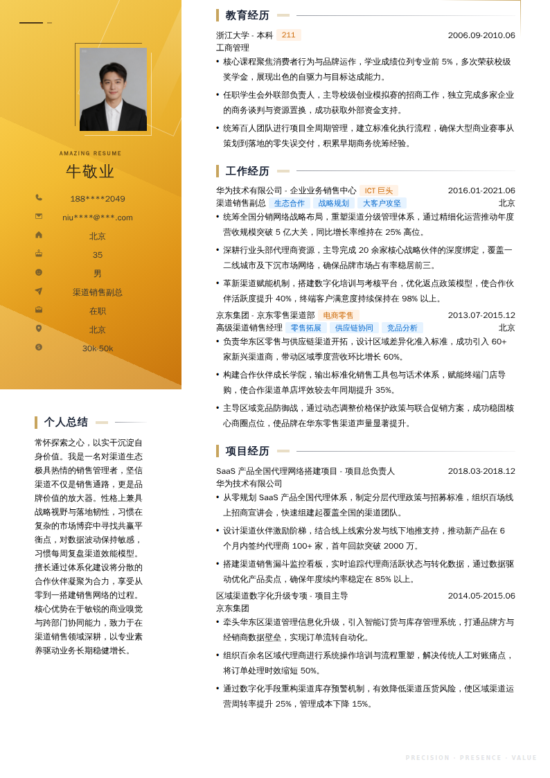 渠道销售副总简历模板