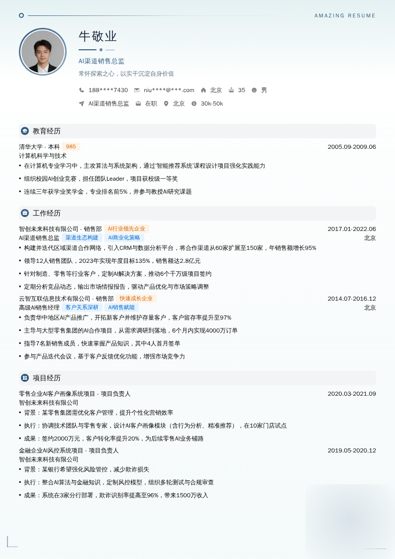 AI渠道销售总监简历模板