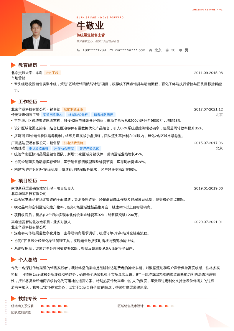 传统渠道销售主管简历模板