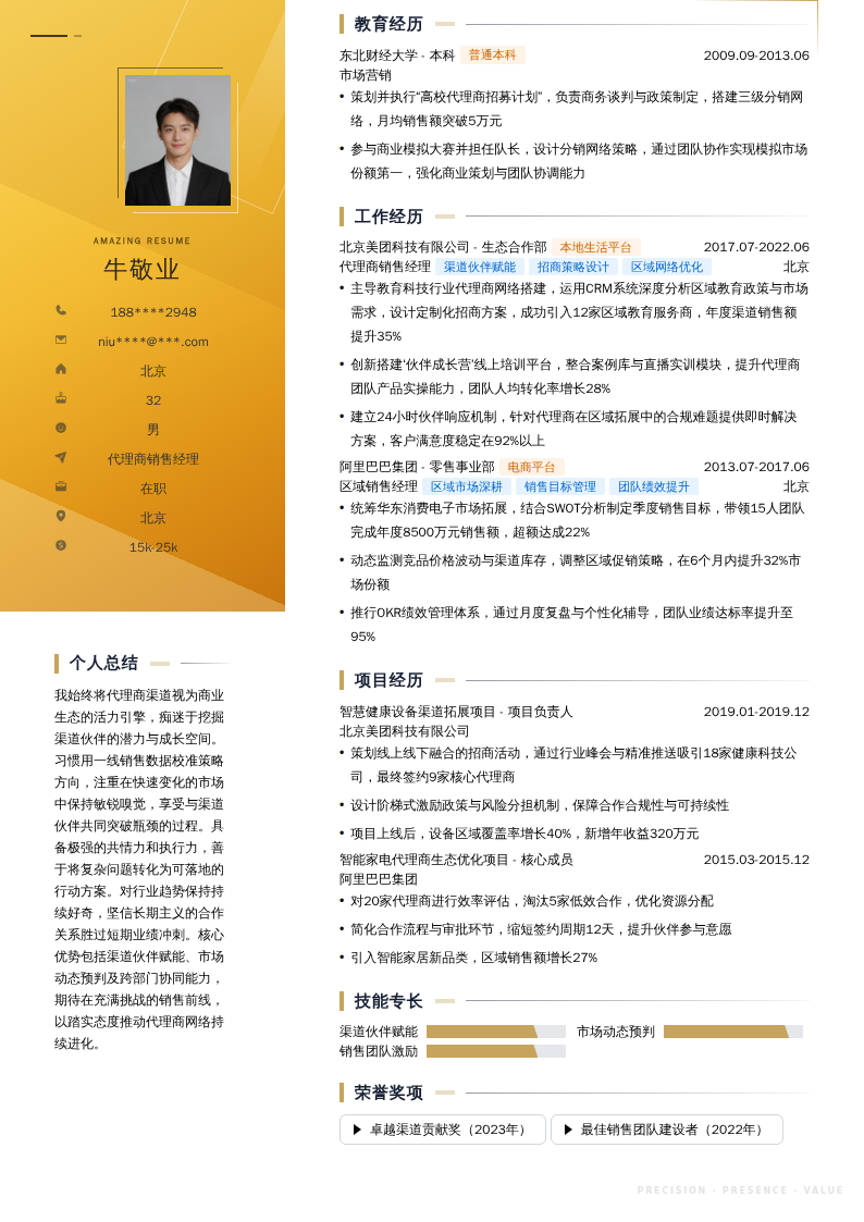 代理商销售经理简历模板