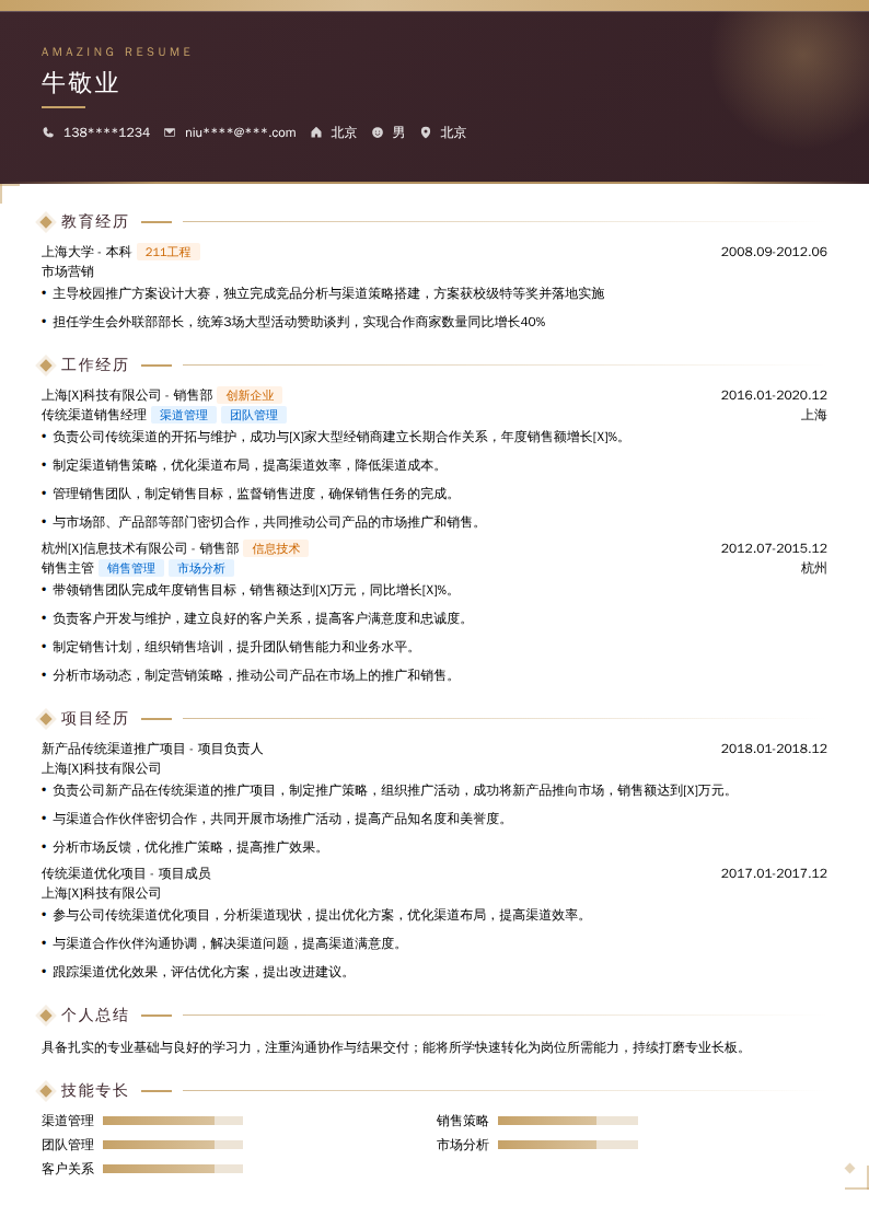 传统渠道销售经理简历模板