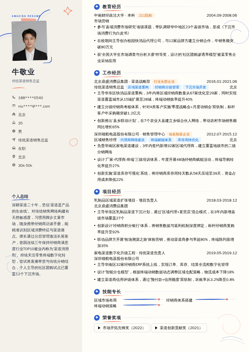 传统渠道销售总监简历模板