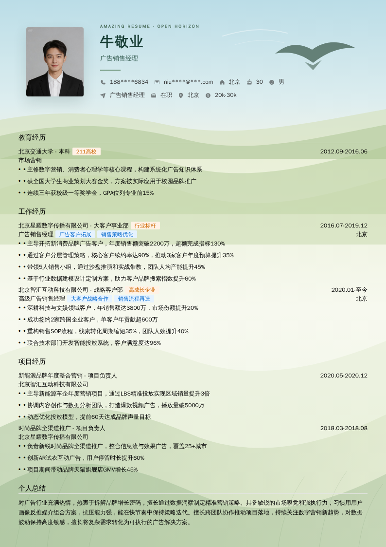 广告销售经理简历模板