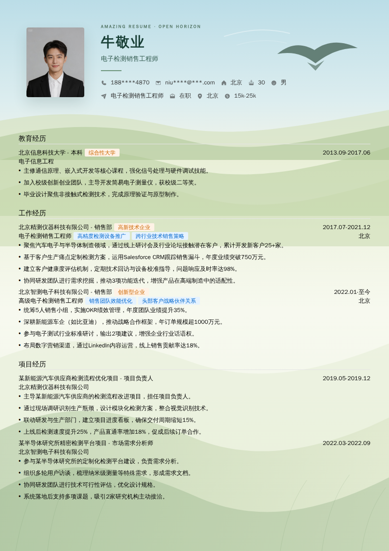 电子检测销售工程师简历模板