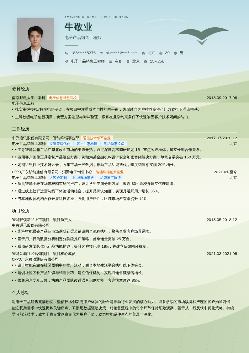 电子产品销售工程师简历模板