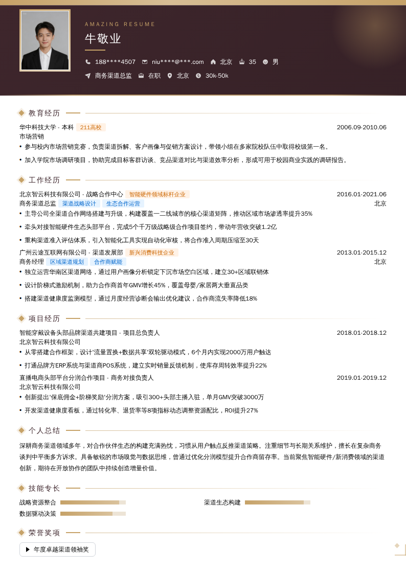 商务渠道总监简历模板