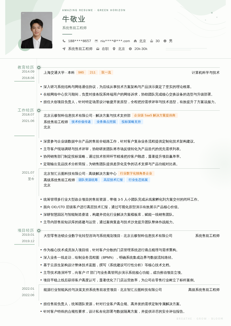 系统售前工程师简历模板