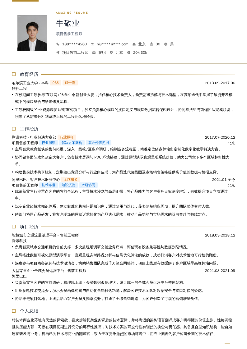 项目售前工程师简历模板