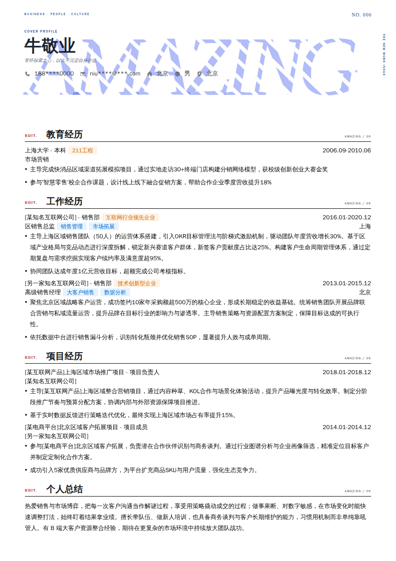 区销售总监简历模板