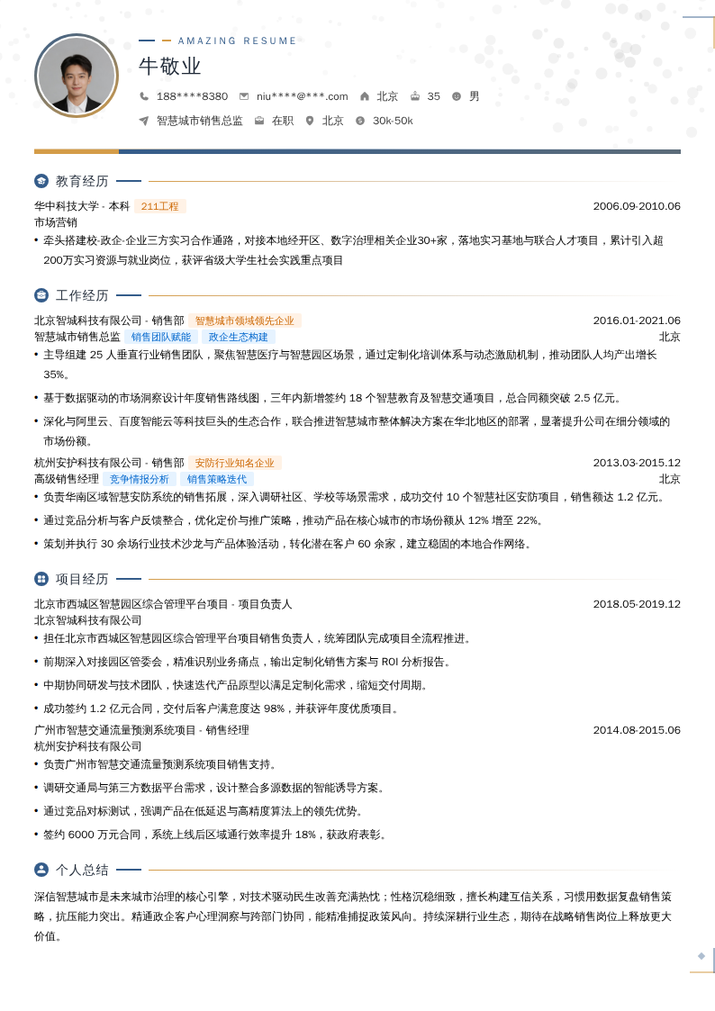 智慧城市销售总监简历模板