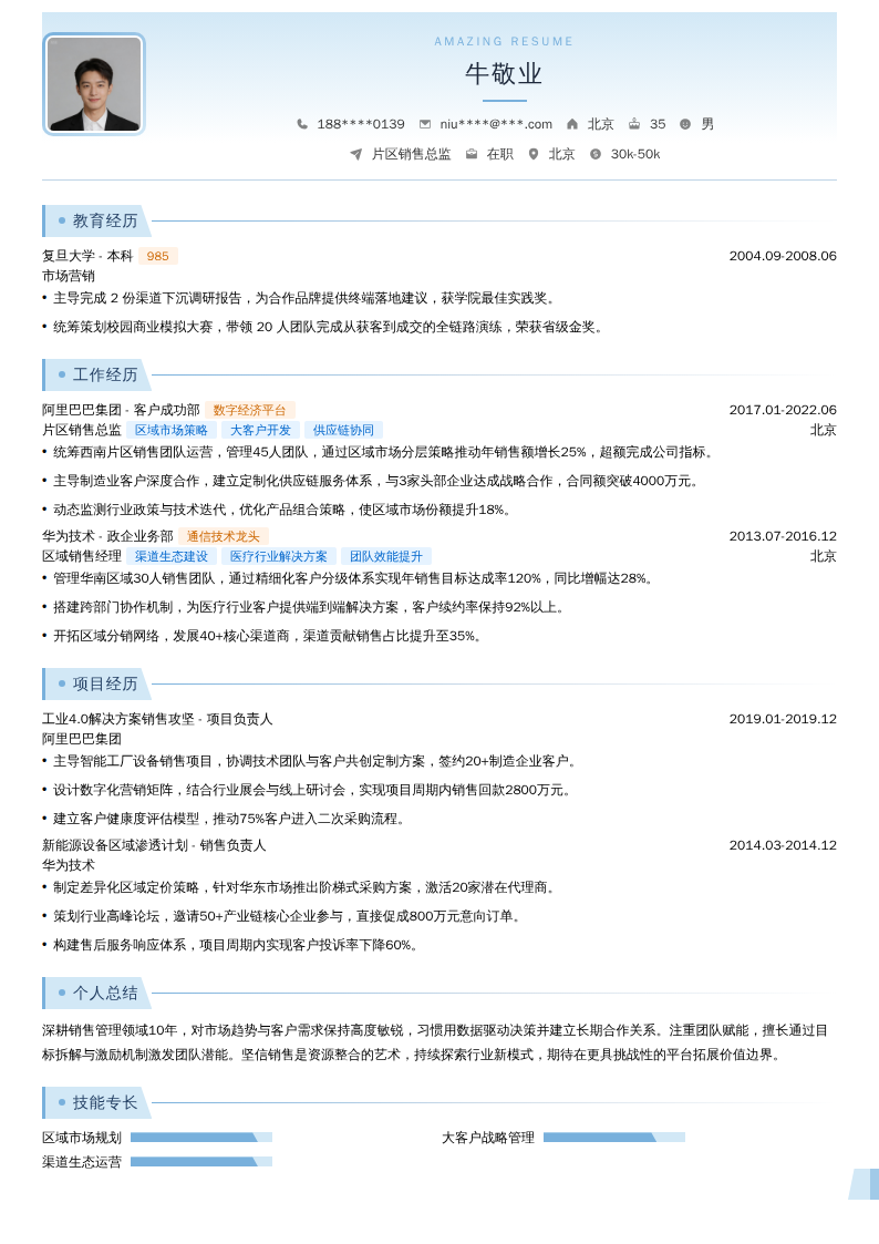 片区销售总监简历模板