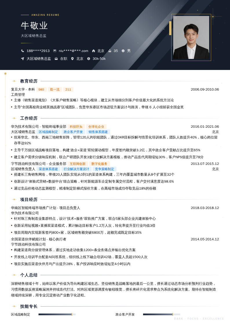 大区域销售总监简历模板