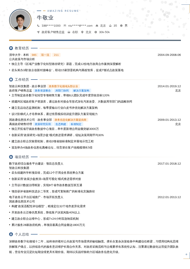 政府客户销售总监简历模板