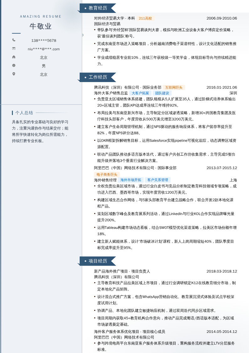 海外大客户销售总监简历模板