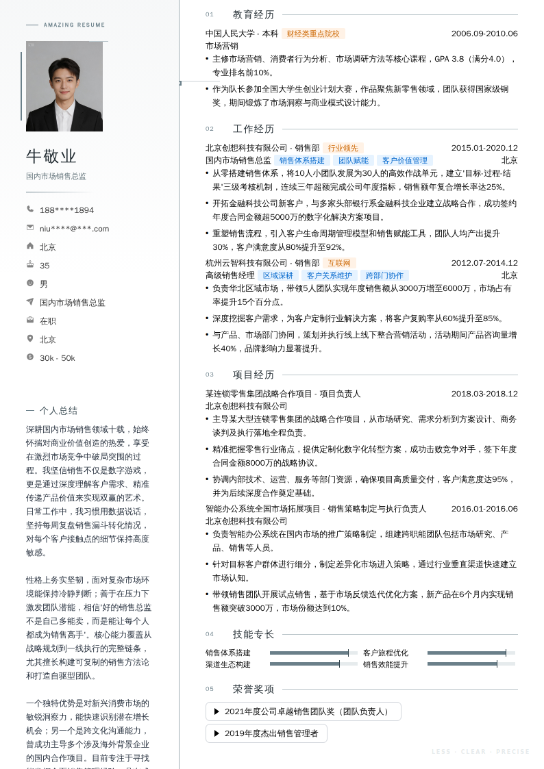 国内市场销售总监简历模板